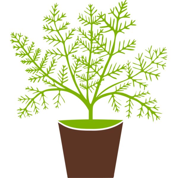 Plant Miniaturansicht