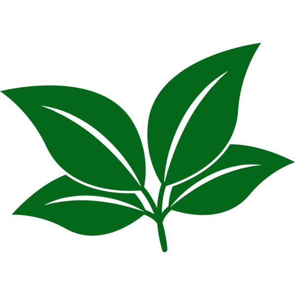 Leaves Miniaturansicht