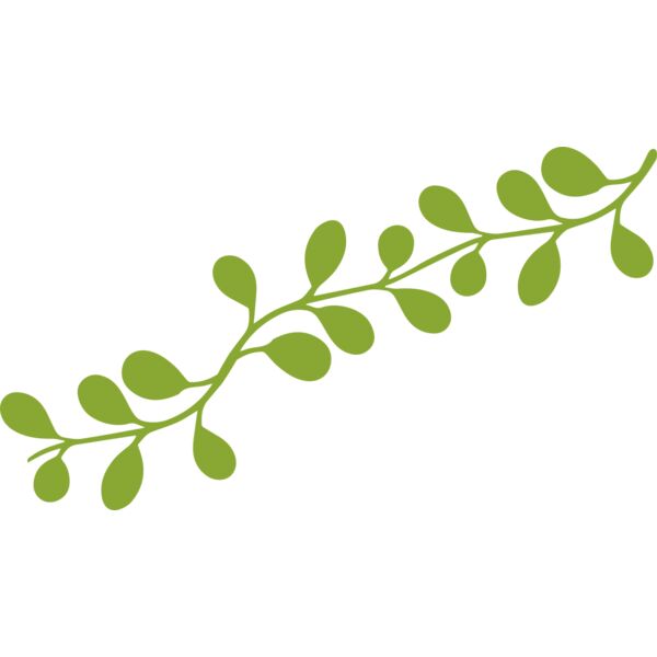 Leaves 13 Miniaturansicht