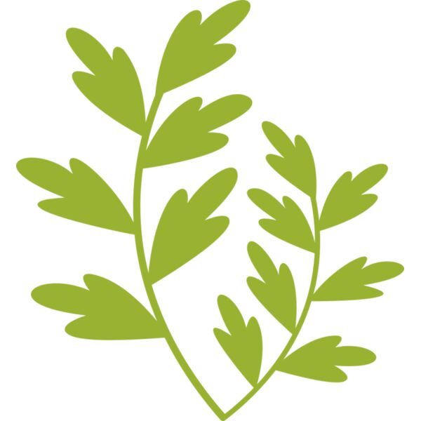 Leaves 11 Miniaturansicht