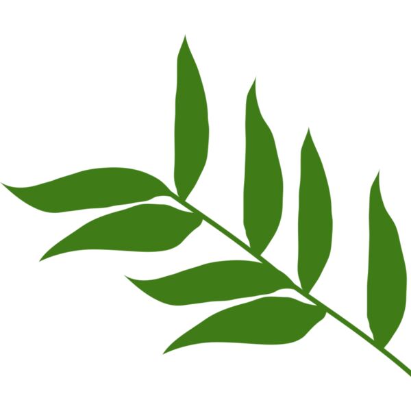 Leaves 5 Miniaturansicht