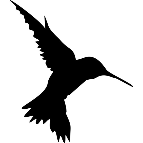 Kolibri Miniaturansicht