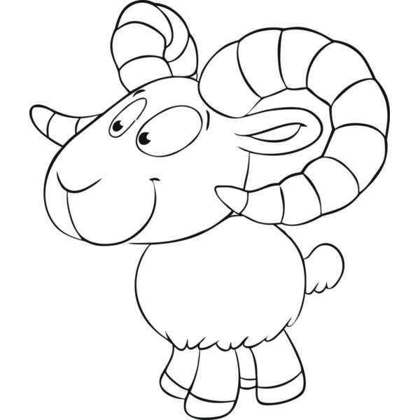 Widder Miniaturansicht