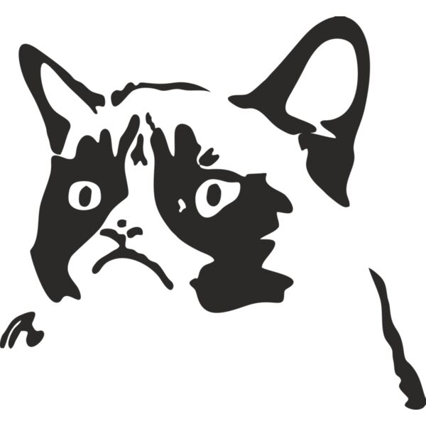 grumpy cat  Miniaturansicht